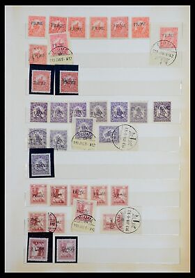 Lot 36530 Stamp collection Fiume 1918-1919.