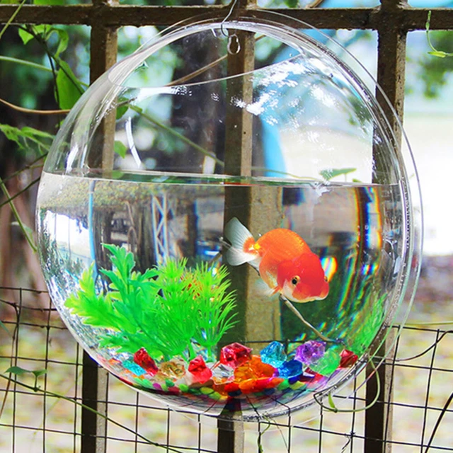 Hanging Tank, Wall Mounted Bowl, Hanging Betta Tank, Transparent Wall Aquarium,