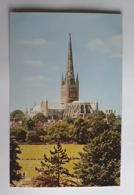 Unposted Jarrold & Sons Postcard - Norwich Cathedral from South East  #S
