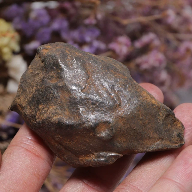 235g Gebel Kamil Iron Meteorite Space Gift A1460