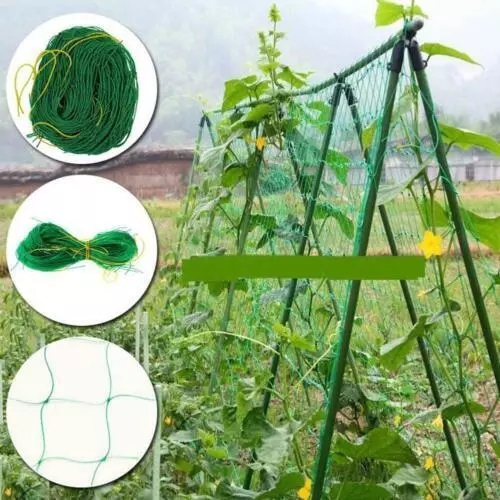 Vegetable Fruit Climbing Plant Support Mesh Garden Net Netting Pea Bean Trellis