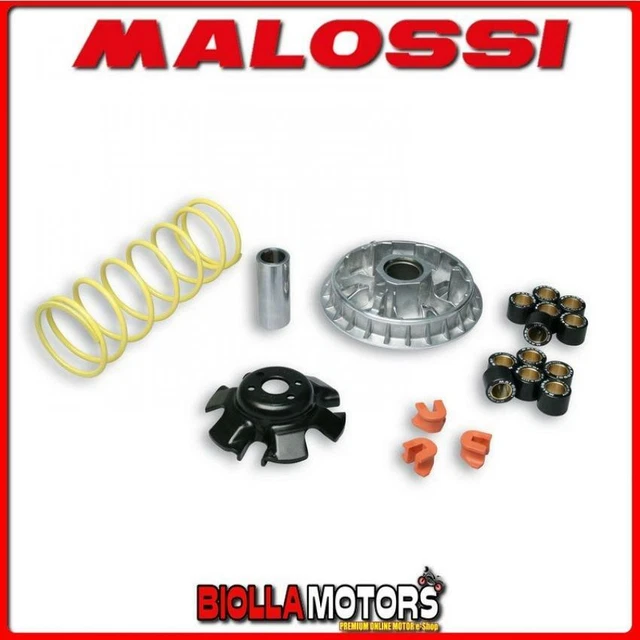5113892 VARIATORE MALOSSI KYMCO XCITING - XCITING R 300 ie 4T LC euro 3 MULTIVAR