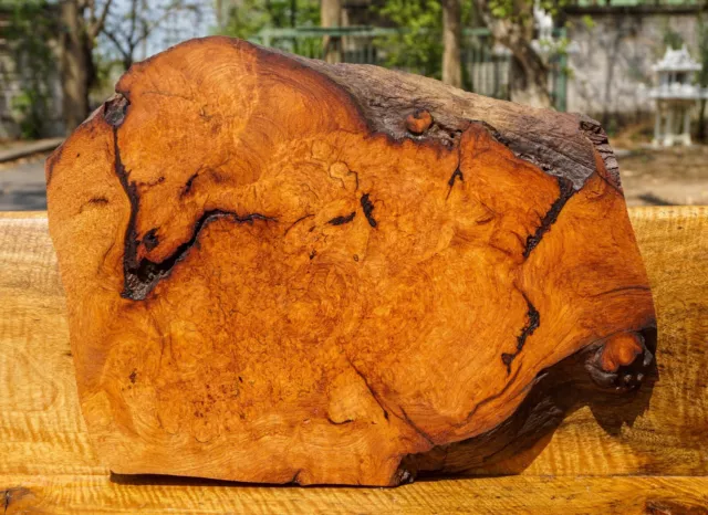 Mesa dorada AMBYNA BURL MADERA borde vivo epoxi hágalo usted mismo losa natural resina de madera