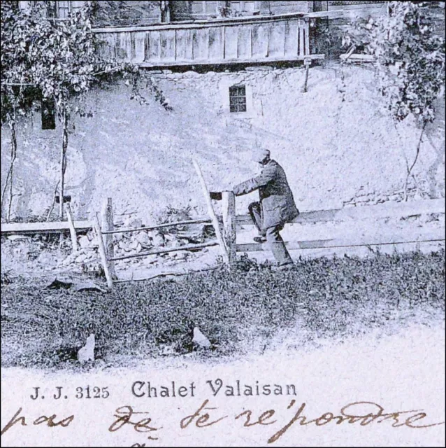 Suisse Savoie Chalet Valaisan 1903 Carte Postale Timbre Cachet Daguin Lille