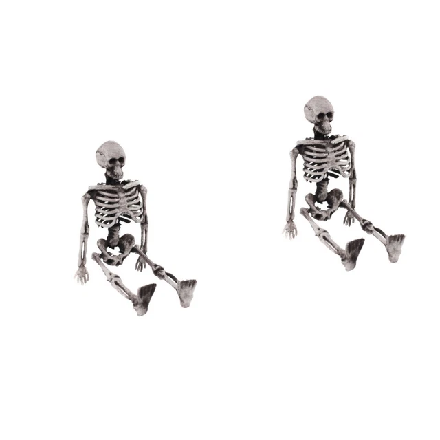 Modello Cranio Umano In 15 Parti - Mini Anatomia Per Studio E Didattica