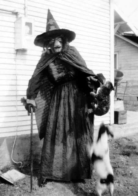 Antique Halloween Witch Photo 2202b Oddleys Strange & Bizarre