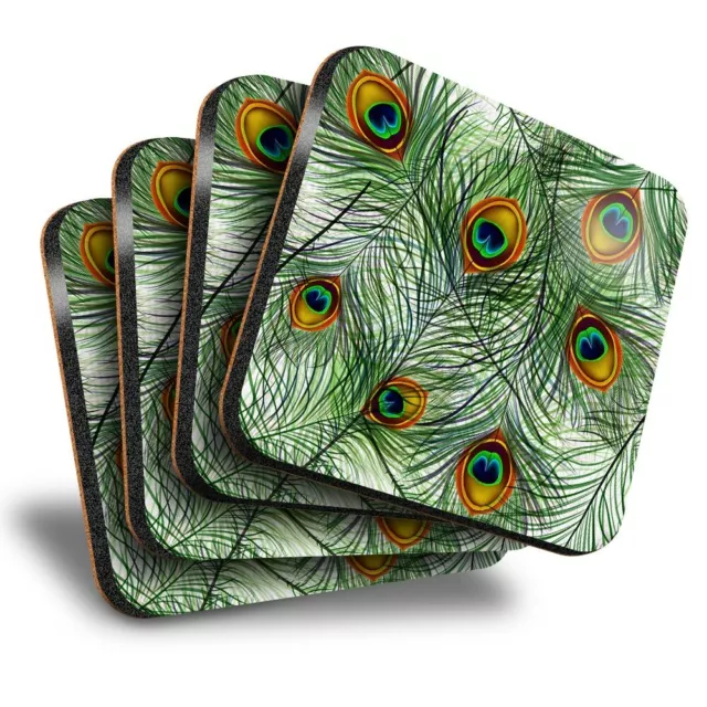 Set of 4 Square Coasters - Pretty Peacock Feather Bird  #13098