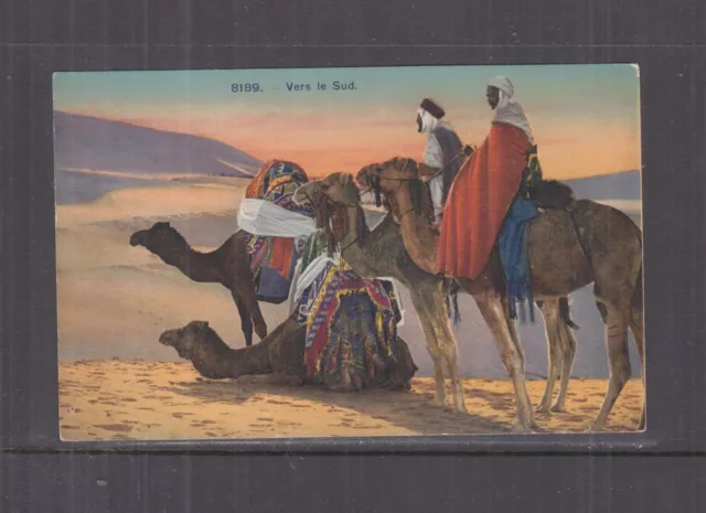 NORTH AFRICA, MEN & CAMELS, TOWARDS THE SOUTH, c1925 ppc., unused.