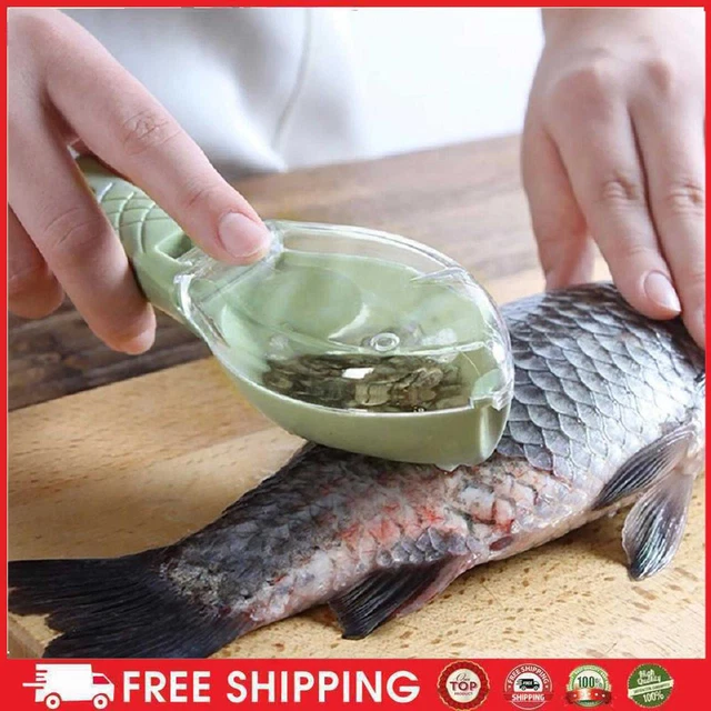 Raspador Plástico Escama de Pescado con Escaleras, Retiro Rápido de Fi