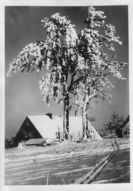 "Ländlicher Winter in Deutschland". Atlantic Pressefoto v.1940, Orig.abzug 13x18