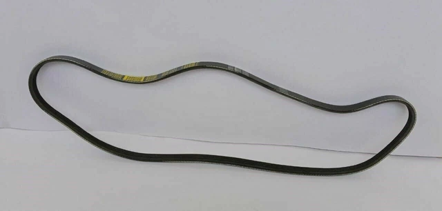 Courroie d'alternateur 0306GM0061N pour Mahindra Scorpio, TUV, Xylo