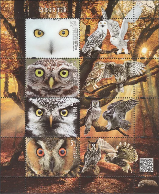 Poland 2017 - Birds - Owls - Fi bl 312 MNH**