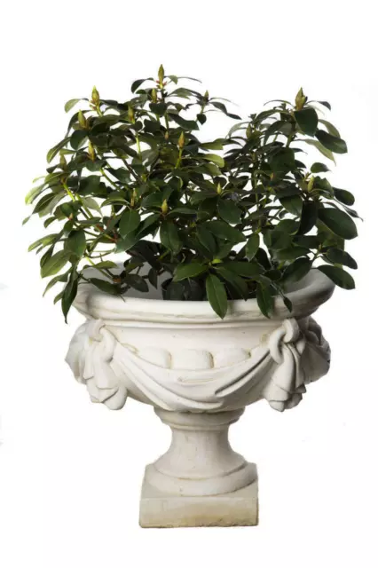 Large White/cream Draped Georgian Style Vase Planter Urn 133KGS