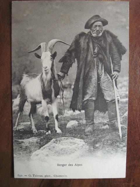CPA Ak Berger des Alpes Chèvre bouc montagne