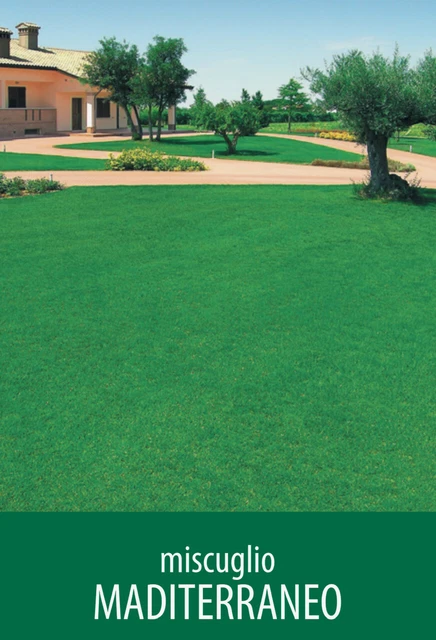 Sementi Prato Evergreen Facile E Veloce Da Kg.1 - Kb | KB | US - Foto 3