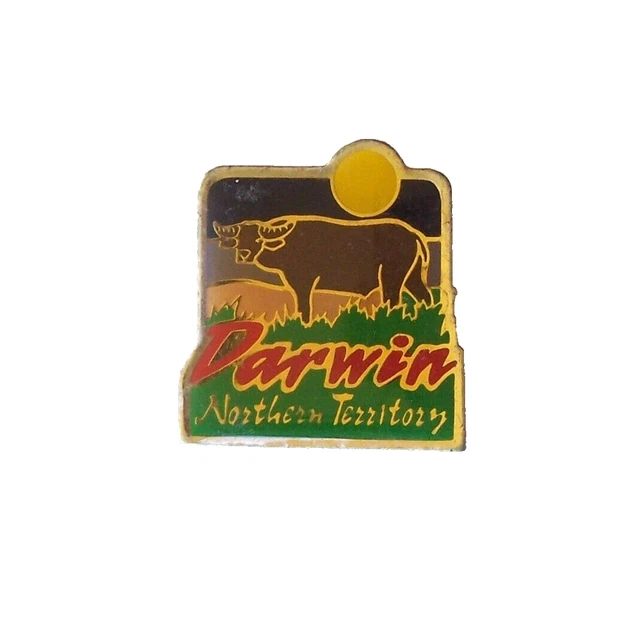 VINTAGE DARWIN NORTHERN Territory Travel Souvenir Metal Lapel Pin Badge
