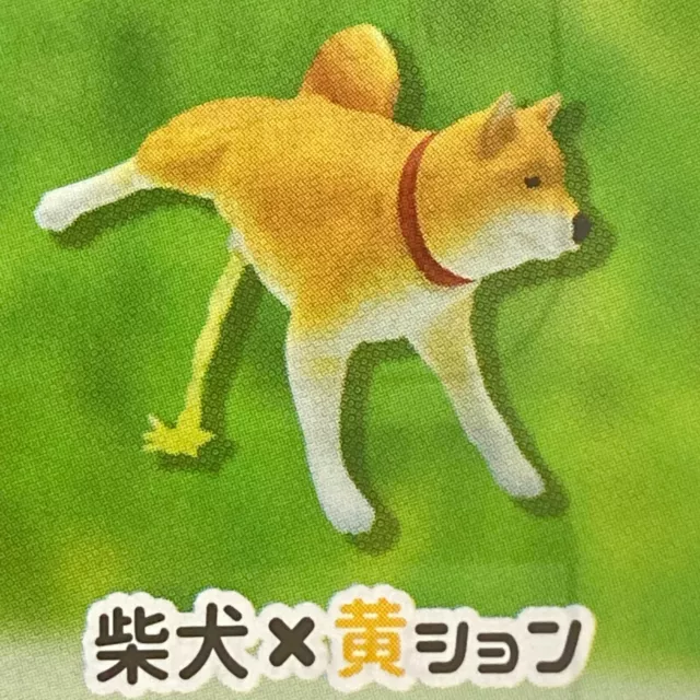 Shiba Inu Dog Peeing Mascot Mini Figure Shiba yellow pee Qualia Japan