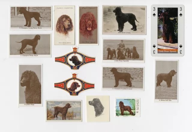 Irish Water Spaniel Dog Collectable Playing Cards Cigarette & Trade Cards Stamps