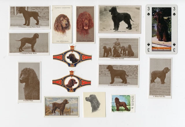 Irish Water Spaniel Dog Collectable Playing Cards Cigarette & Trade Cards Stamps