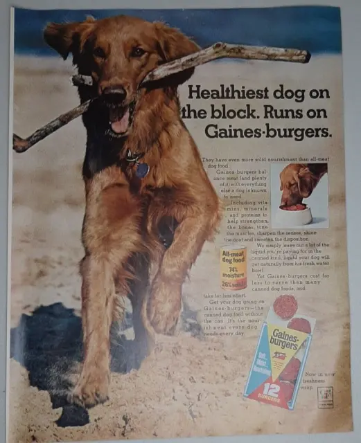 1967 Gaines Burgers Vintage Print Ad Pet Food Dog Play Beach Stick Run Healthy