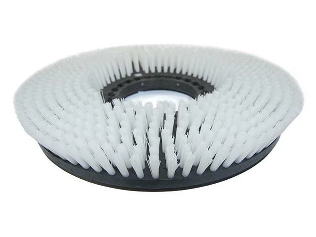 Brosse exfoliante pour Comac Flexy 85,