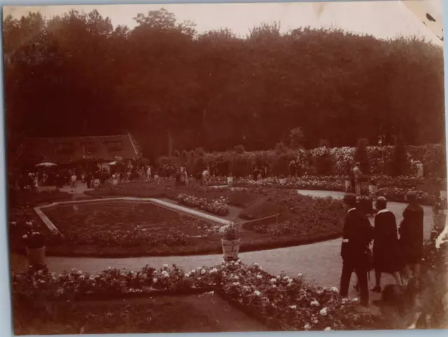France, Haÿ-les-Roses, ballade dans la roseraie Vintage albumen print Tirage a