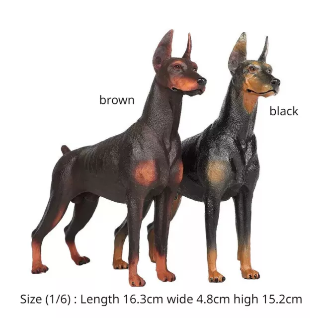 1/6 Realistic Doberman Pinscher Dog Statue Resin Animal Model Toys Figure Decor