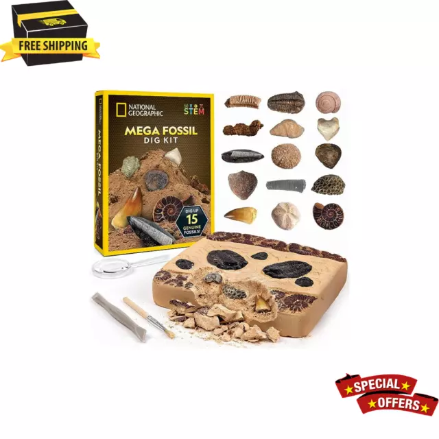 National Geographic Mega Fossil Dig Kit Excavate 15 Real Fossils Dinosaur Bones