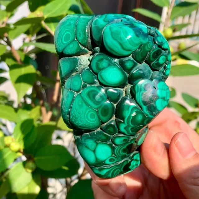 510G  Natural glossy Malachite transparent cluster rough mineral sample