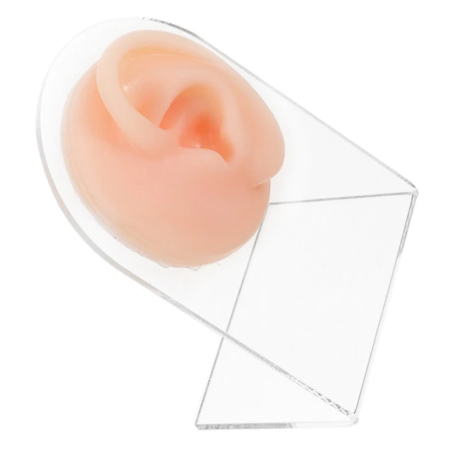 1 juego modelo de oreja humana, modelo de oreja piercing de silicona,