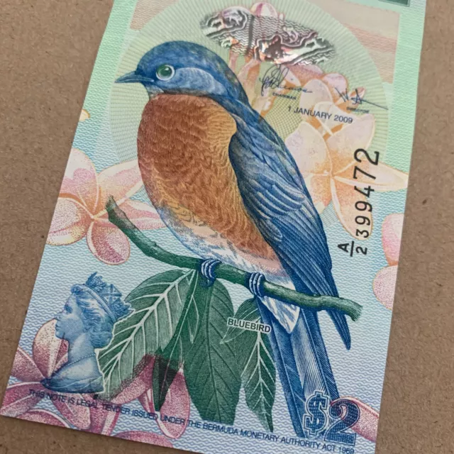 Bermuda 2 Dollars Banknote Bermudan Currency Bird Paper Money CU Mint 2009 UNC