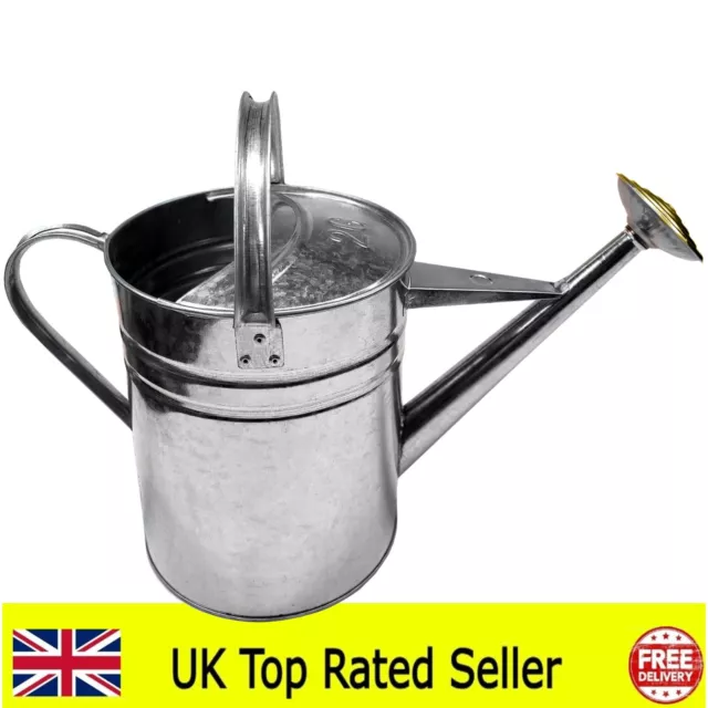 Galvanised Watering Can 9L Metal Watering Can 2 Gallon with Removable Brass Rose