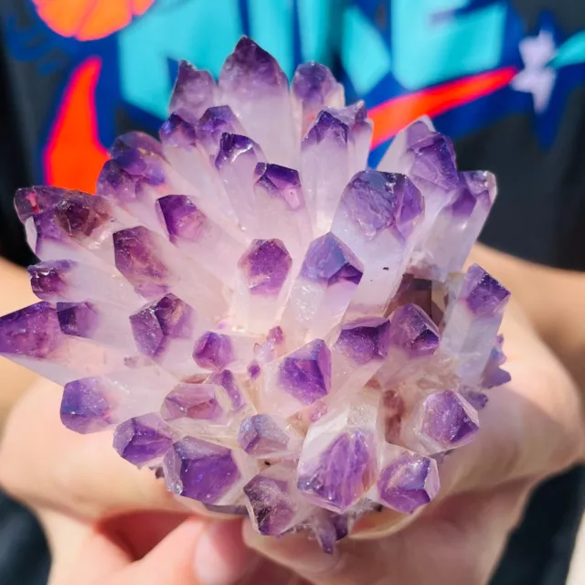 305g New Find Purple Phantom Quartz Crystal Cluster Mineral Specimen healing