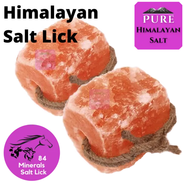 Himalayan Salt Lick For Horses 2 KG With Rope Twin Pack for Livestock Pet Treat