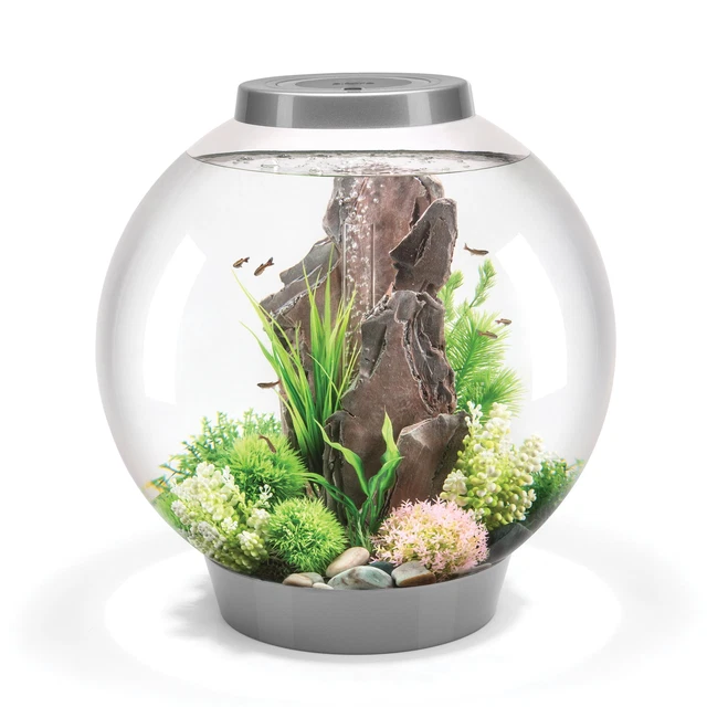 16 Gallon Classic 60 Aquarium With Standard Light,Silver, Acrylic,Free Shipping 2