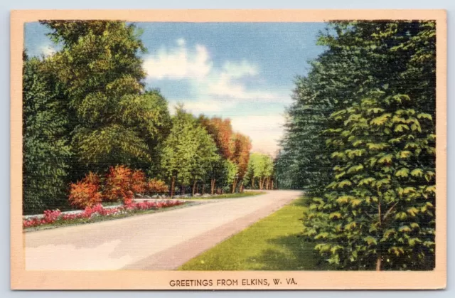c1946 Greetings From Elkins West Virginia Vintage Randolph County WV Postcard