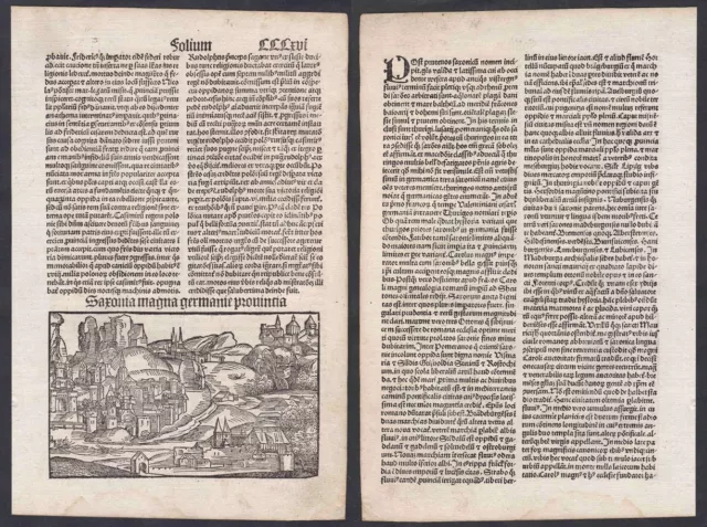 1496 Sachsen Saxonia Schedel Chronicarum Incunable Inkunabel Holzschnitt woodcut