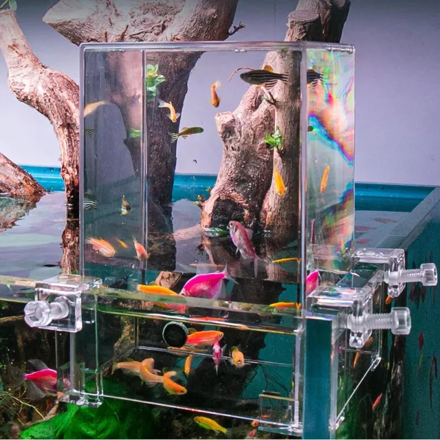 Negative Pressure Fish Tank Floating Betta Mini Bowl Aquarium Small Living Room 2