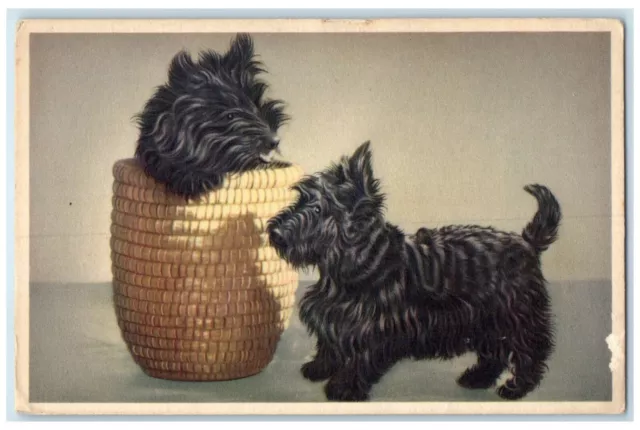 c1930's Black Scottish Terrier Dog Animals In Basket Unposted Vintage Postcard