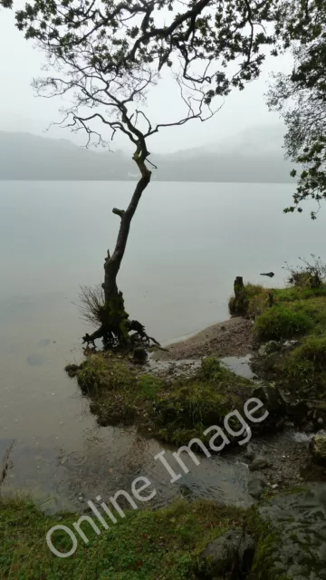 Photo 12x8 An unnamed burn entering Loch Lomond Inveruglas  c2011