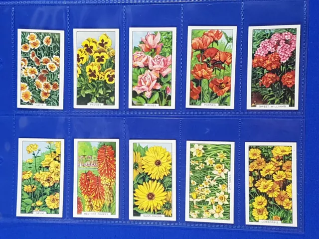 Gallaher Cigarette Cards GARDEN FLOWERS (1938) Full set of 48