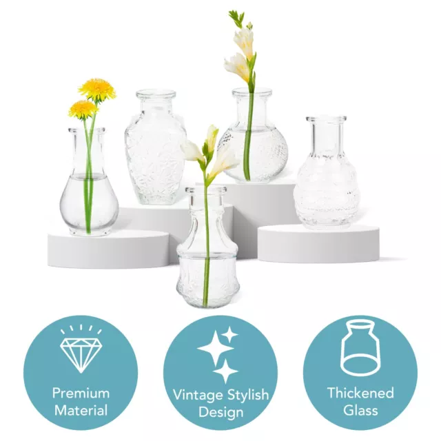 HEFTMAN Small Glass Vase Set of 5 Clear Vintage Mini Flowers Table Transparent 3