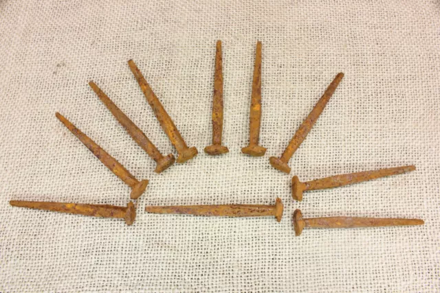 2 1/2" Rosehead 10 nails RUSTY PATINA wrought iron Spikes Decorative 2.5"