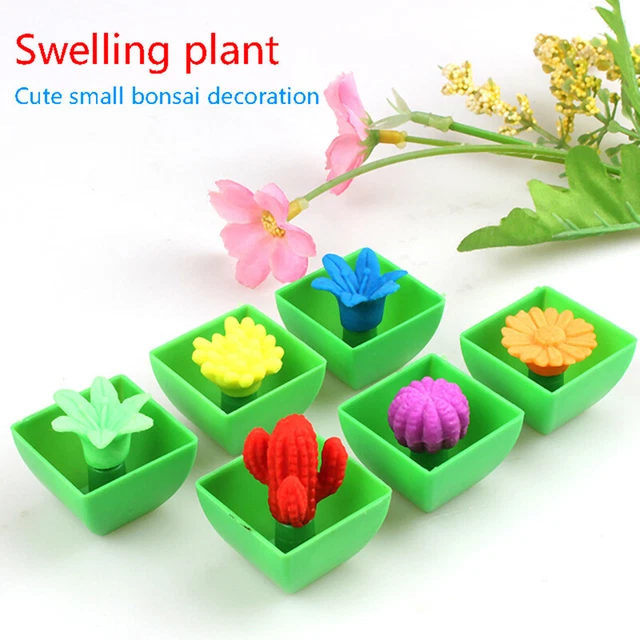 8PCS Funny Cactuse Bonsai Expansion Plant Toy Growing In Water Flower Magic T#w#