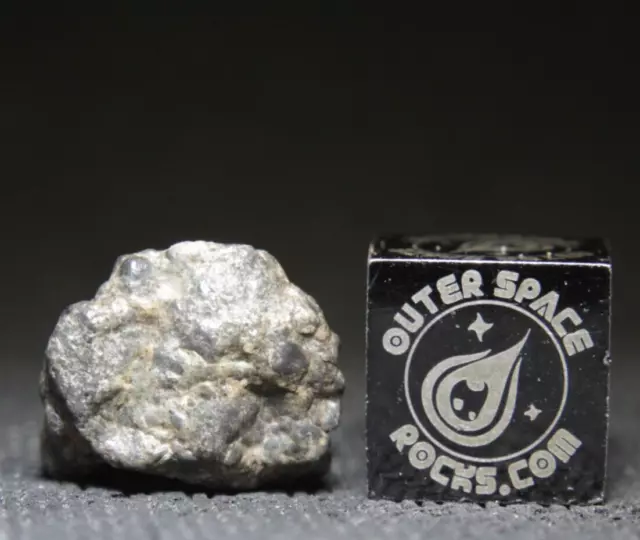 Lunar Meteorite Bechar 003 Feldspathic Breccia 1.7 gram fragment OFFICIAL!