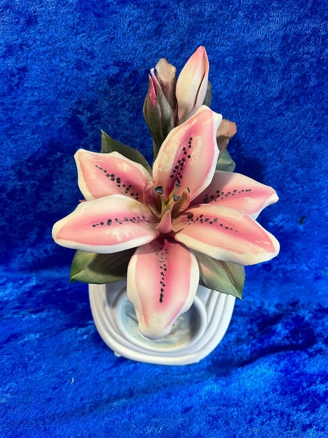 Capodimonte Tiger Lily Columbus Anniversary Piece 8 x 5"