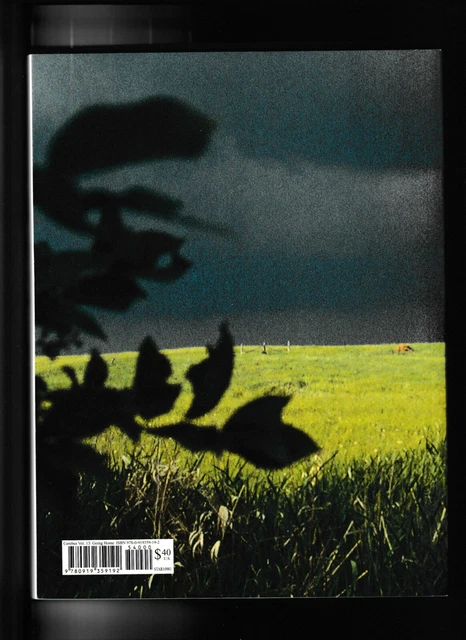 Cerebus TPB #13 Going Home, Aardvark-Vanaheim, Dave Sim, Gebhard, Jaka VF/NM y 2
