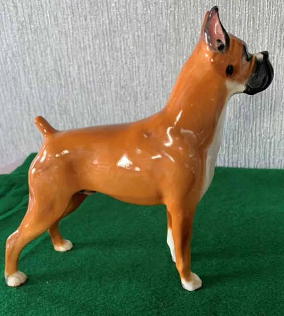 Royal Doulton Dog Boxer Ch Warlord Of Mazelaine Hn 2643 Golden Gloss Perfect 2