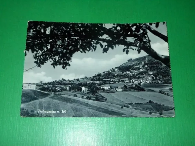 Cartolina Pietragavina - Panorama - 1955 ca.