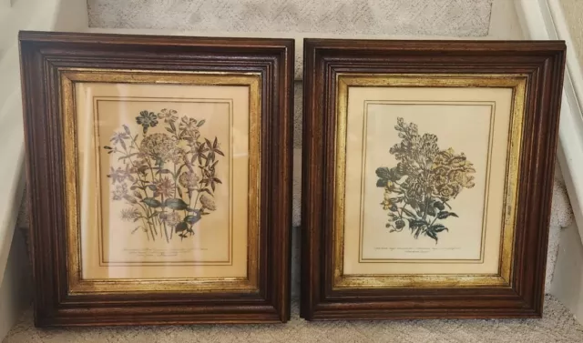 2 Antique Victorian Eastlake Era Walnut Gold Gilt Wood Deep Well Frame Botanical